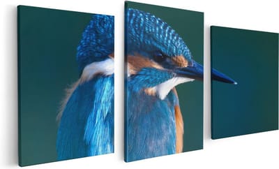 Artaza Canvas Schilderij Drieluik Blauwe IJsvogel Op Een Tak - 120x60 - Foto Op Canvas - Canvas Print