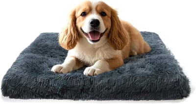 Famanu – Hondenbed, kattenbed, klein hondenkussen, wasbare, pluizige hondenmat, lange pluche, zachte bekleding, multifunctionele hondenmandmatras, don