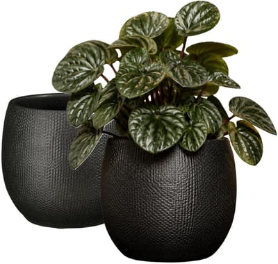 Mica Decorations Plantenpot - 2x - keramiek - antraciet glans / ribbels - D15 x H16 cm - bloempot Havana