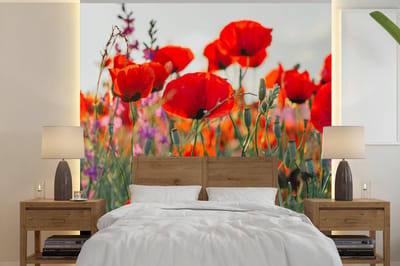 Behang - Fotobehang Klaproos - Bloemen - Rood - Paars - Weide - Breedte 350 cm x hoogte 350 cm