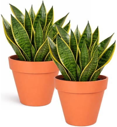 Mega Collections Plantenpot / bloempot - 2x - kunststof - oranje - binnen/buiten - D29 x H28 cm