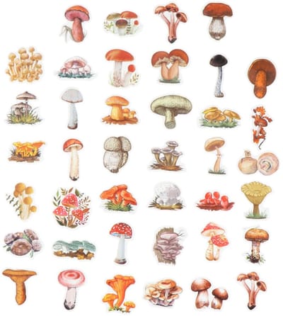 Dailygoods- Stickers Paddestoel Set van 120 - DIY Stickers - Scrapbooking - Dagboekstickers - Decoratieve Stickers - PVC Materialen - Decoratiestickers