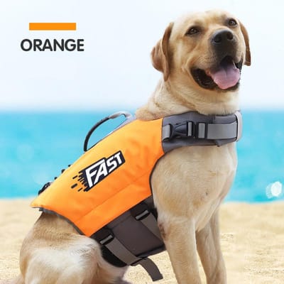 Huisdier Zwemvest Veiligheidsvest voor Hond in Zomerse Mode Verstelbaar Reflecterend in Zwembad of Surfen Drijven Hondenreddingsvest L