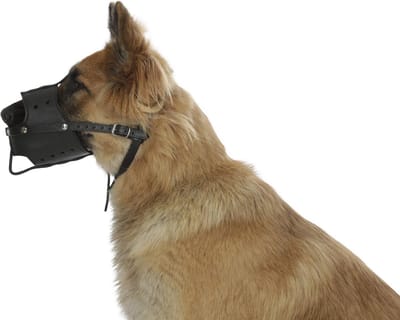 Leren Muilkorf Hond Zwart - Comfortabel & Stevig (Maat U)