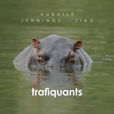 David Aubaile - Trafiquants (CD)