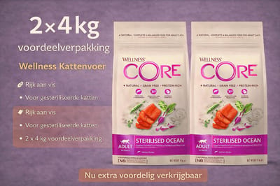 Wellness Core - Grain Free Cat Sterilised 2 x 4 kg Zalm - Kattenvoer