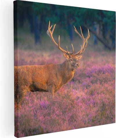 Artaza Canvas Schilderij Hert - 80x80 cm - Wanddecoratie Gewei - Muurdecoratie Natuur - Schilderijen Op Canvas