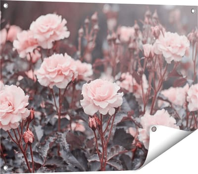 Gards Tuinposter Roze Rozen Bloemen - 80x60 cm - Tuindoek - Tuindecoratie - Wanddecoratie buiten - Tuinschilderij