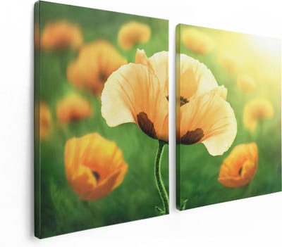 Artaza Canvas Schilderij Tweeluik Oranje Klaproos Bloemen  - 120x80 - Foto Op Canvas - Canvas Print