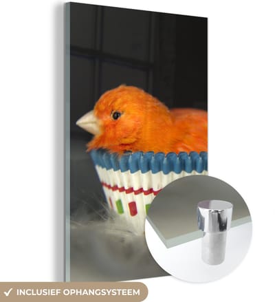 MuchoWow® Glasschilderij 120x180 cm - Schilderij acrylglas - Vogel - Cupcake vormpjes - Portret - Foto op glas - Schilderijen