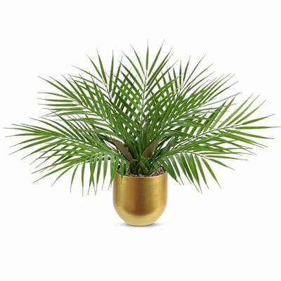 Dailygoods - Oairse Kunstpalmplant in gouden metalen pot 40 cm realistisch nepgroen met decoratieve faux kamerplant voor thuiskantoor plank tafel bureau badkamer woonkamer decor