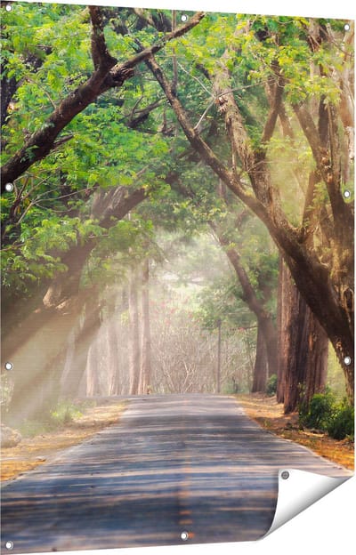 Gards Tuinposter Weg Omringd met Bomen - 90x120 cm - Tuindoek - Tuindecoratie - Wanddecoratie buiten - Tuinschilderij
