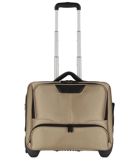Dermata Business Laptop Trolley Nylon 3456NY Champagne