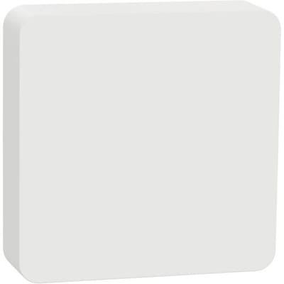Schneider Electric Wiser CCT593012 Temperatuursensor, Luchtvochtigheidssensor
