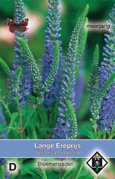 Van Hemert & Co - Lange Ereprijs (Veronica longifolia)