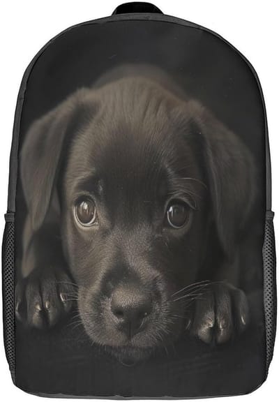 Hondenrugzak, 3D-tas, rugzak voor jongens, school, kleuterschool, lunchtas met rits, voor jongens, meisjes, tieners, schooltas, rugzakken, 43 cm, Stijl, 17inch