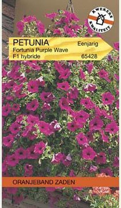 Oranjebandzaden -  Petunia Purple Wave F1, Fortunia serie
