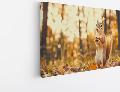 Saammp Canvas Schilderij - Eekhoorn in herfst bos - Natuur - Dieren - 45x30 - Foto op canvas - Wanddecoratie - Muurdecoratie Woonkamer - Slaapkamer decoratie - Canvas Print