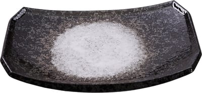 Wit Bord - Minoyaki - 21,8 x 14,8cm