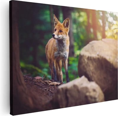 Artaza Canvas Schilderij Vos In Bos - 40x30 cm - Klein - Wanddecoratie Dieren - Muurdecoratie Woonkamer - Kamer Accessoires