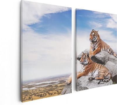 Artaza Canvas Schilderij Tweeluik Twee Tijgers Op Rotsen Met Het Blauwe Lucht - 80x60 - Foto Op Canvas - Canvas Print