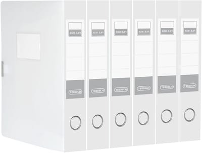 Plastic A4 Bestandsdoos met Deksel, Set van 6 voor School en Kantoor, 55 mm Breed, Transparant en Duurzaam