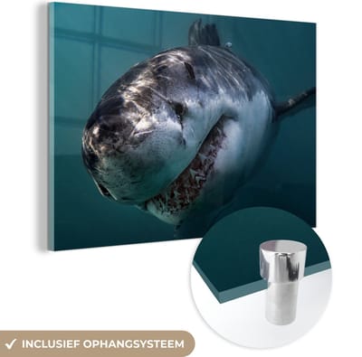 MuchoWow® Glasschilderij 60x40 cm - Schilderij acrylglas - Haai - Wit - Water - Foto op glas - Schilderijen