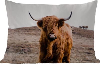 Buitenkussens - Tuin - Schotse hooglander - Landschap - Koe - Bruin - Dieren - Natuur - 50x30 cm
