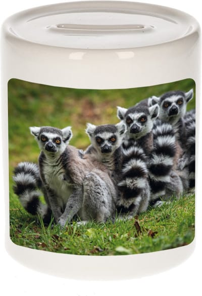 Dieren maki familie foto spaarpot 9 cm jongens en meisjes - Cadeau spaarpotten maki familie maki apen liefhebber