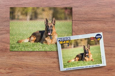 Puzzel Duitse herdershond ligt op het gras - Legpuzzel - Puzzel 500 stukjes