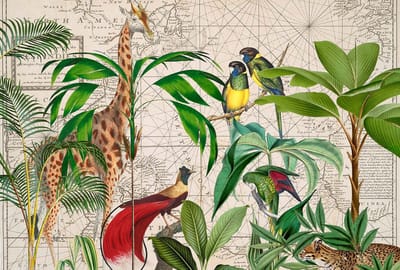 Fotobehang PalmTreeMap DD119741 A.S. Création ARTist Kleurrijk Groen Vlies 270 x 400 cm (4 delen) 3D Fotobehang