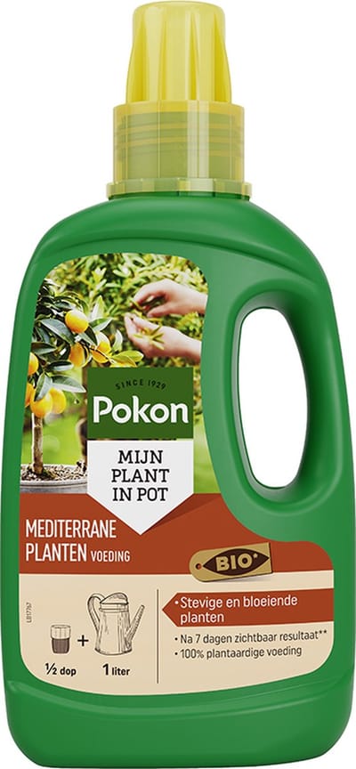 Pokon Bio Mediterrane Planten Voeding - 500ml - Voor Citrus en Mediterrane planten - Olijfboom voeding