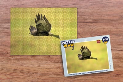 Puzzel Een foto van een laagvliegende buizerd - Legpuzzel - Puzzel 500 stukjes