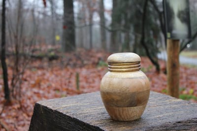 Mangohouten urn de Slufter-2