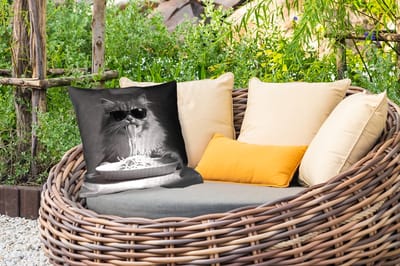 Buitenkussen - Langharige kat - Zonnebril - Spaghetti - Humor - Zwart - wit - 45x45 cm - Weerbestendig