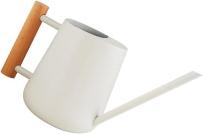 Roestvrijstalen Gieter - Waterkannetje Binnen - Planten Verzorgen - Lange Tuit - 27x13 cm - Wit