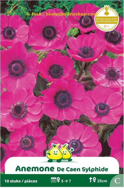 3 zakjes Anemoon Sylphide maat 8/+