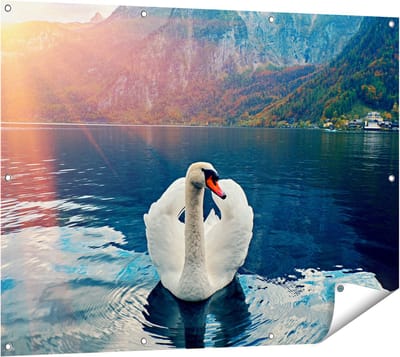 Gards Tuinposter Zwaan op het Water in de Bergen - 120x90 cm - Tuindoek - Tuindecoratie - Wanddecoratie buiten - Tuinschilderij