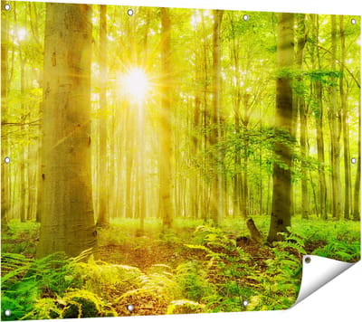 Gards Tuinposter Groen Bos met Schijnende Zonnestralen - 120x90 cm - Tuindoek - Tuindecoratie - Wanddecoratie buiten - Tuinschilderij