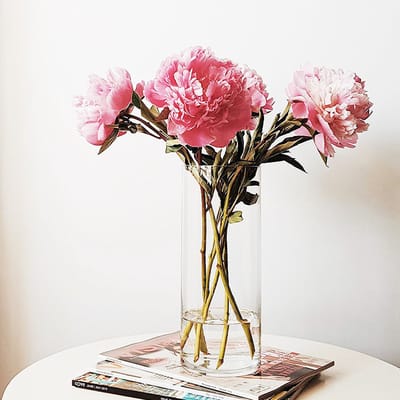 Glazen Vaas - Pot 15 cm - 2 stuks - Transparant Zonder Deksel - Borosilicaat - Bloemenvaas - Keukenvoorraad pot - 8.5 ⌀
