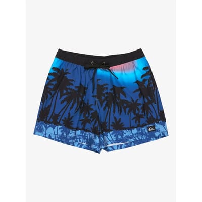 Quiksilver Everyday Printed Volley 15´´ Zwembroek Blauw L Man
