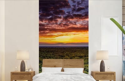 Behang - Fotobehang Bos - Nacht - Lucht - Horizon - Bomen - Breedte 120 cm x hoogte 240 cm