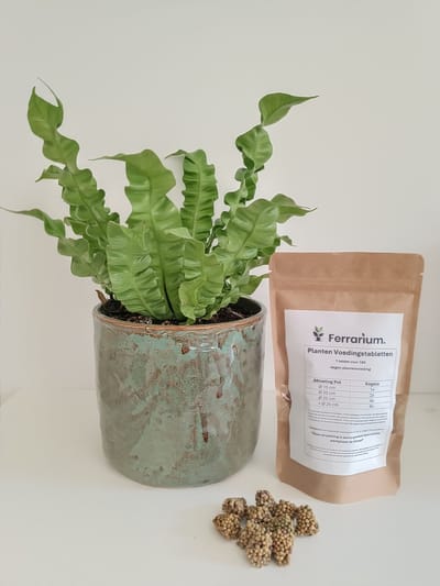 Ferrarium plantenvoedingskegels 35 stuks voor kamerplanten & terrasplanten in hersluitbare stazak - voeding voor planten - voedingskegels - plantenkegels - Ferrarium EasyTabs - Plantenvoeding - Kamerplanten & Balkonplanten - Ecosysteemvriendelijk