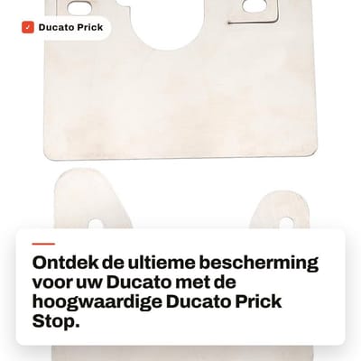 Dailygoods- Deurslot anti-diefstal - Cilinderslot - Roestvrij staal - Geschikt voor Ducato/Jumper 2006+ - Bestuurderszijde + achterdeur - 2 x Deur prikstop