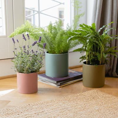Remember Plant pots set 3 pcs - Turin