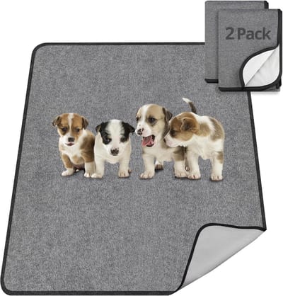 Trainingsmat Honden - Puppy Pads - Zindelijkheidstraining - Herbruikbaar Absorberend - 70 x 100 cm - Grijs