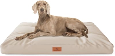 Knuffelwuff hondenkussen Gatsby van Oxford-stof 75x50 cm beige