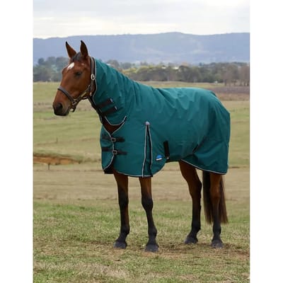 Outdoor paardendeken Weatherbeeta Comfitec Classic 360g