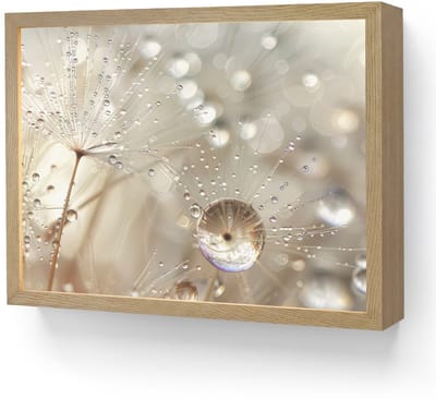 Wandlamp 40x30 cm - Oplaadbaar - Natuur - Bloemen - Druppels - Regen - Wandlampen binnen woonkamer - Slaapkamer lamp - Decoratieve nachtlamp - Vloerlamp draadloos