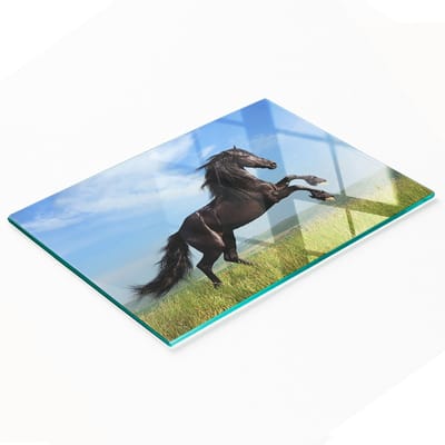 Stijlvol en duurzaam glazen paneel met print van een zwart paard in een weide, 80x52 cm.